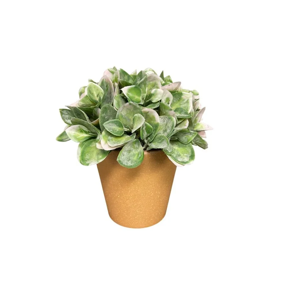 6.5 In. Artificial Potted Succulents In Terracotta-Like Pots With Green & Pink F